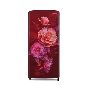 Voltas Beko DC 173L 2S Direct Cool Refrigerator (RDC205C1, Opal Wine)
